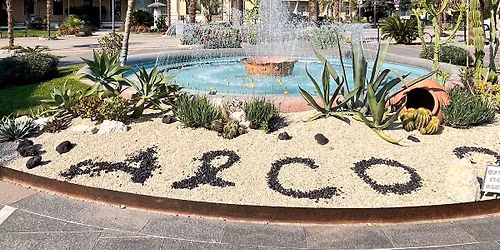 Wcdf Italian Championship 