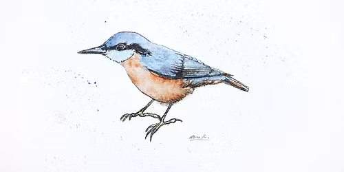 Paint Along - Wildlife Art Workshop