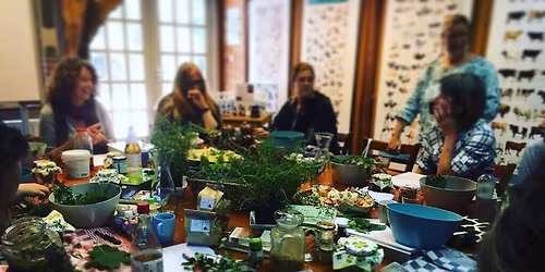 Fytotherapie basiscursus dier ma 23 maart & 20 april 2026