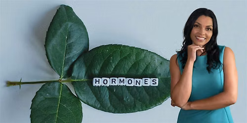 Is It Hormones? Women's Wellness Brunch & Learn Celebrating Our 1-Year An