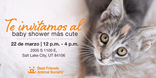 Salt Lake City \u2013 \u00a1Est\u00e1s invitado al Kitten Shower! 