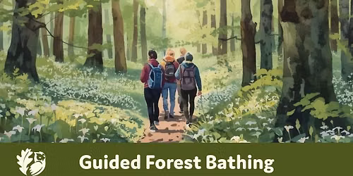 Guided Forest Bathing