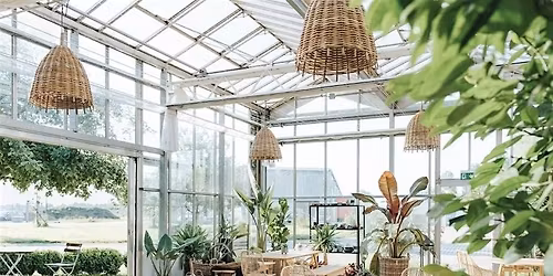 Mini-Retreat: Yoga, Brunch & Sound Bath