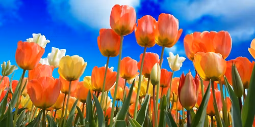 Neighborhood meeting