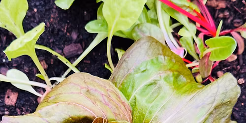 Permakult\u00fara workshop. Dolgozzunk a term\u00e8szettel \u00e8s ne ellene! 