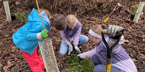 Planting Party West Hamilton