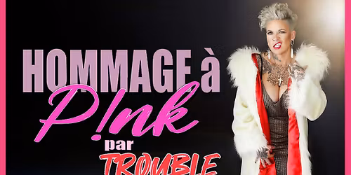 Hommage \u00e0 Pink par Trouble