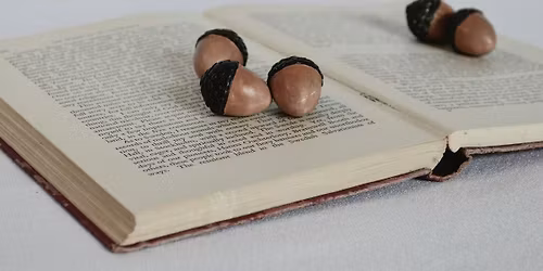 Wee Wonders Workshop