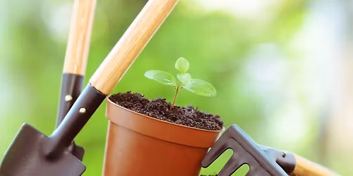 Winter Gardening