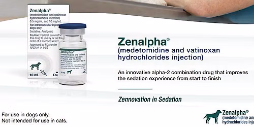 Zennovation in Sedation: Rethinking What is Possible \u2022\tEvent ID: 2026-037