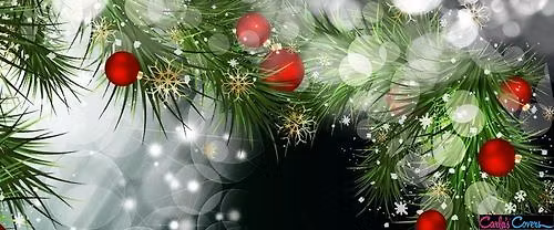 Charity Tournament & APA appreciation party - bring a friend!