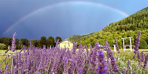Lavender Events & Workshop Season 2026 (1st June-30th Sept), Monday Closed
