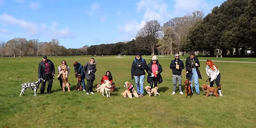 Bark & Buddy Club -  Phoenix Park