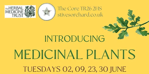 Introducing Medicinal Plants