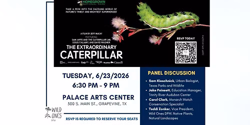 The Extraordinary Caterpillar @ Grapevine Palace Arts Center in Grapevine, TX 