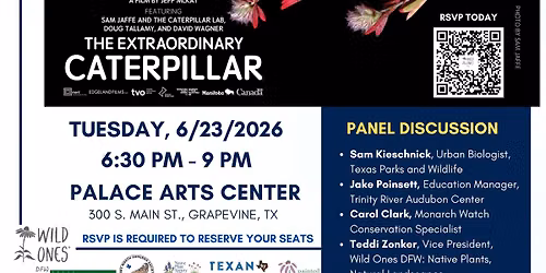 The Extraordinary Caterpillar @ Grapevine Palace Arts Center in Grapevine, TX