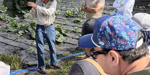 Organic Gardening Class: Essentials for Growing in Florida
