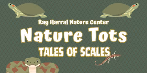 Nature Tots - Tales of Scales
