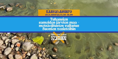 Tuhansien sameiden j\u00e4rvien maa \u2013 mets\u00e4ojitusten vaikutus Suomen vesist\u00f6ihin