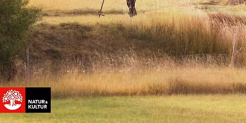 H\u00f6stm\u00f6te med f\u00f6rel\u00e4sning: S\u00e5 r\u00e4ddade vi arvet fr\u00e5n Europas mammutst\u00e4pp f\u00f6r blommor, fj\u00e4rila