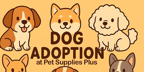 Dog Adoption Event on Nov 8