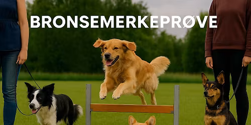 \ud83d\udc3e Bronsjemerkepr\u00f8ve \/ Apellmerke LP \ud83d\udc3e