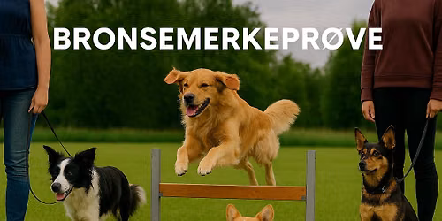 \ud83d\udc3e Bronsjemerkepr\u00f8ve \/ Apellmerke LP \ud83d\udc3e