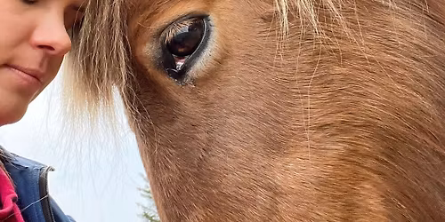 Praksisklasse med Sunniva \u00d8verland