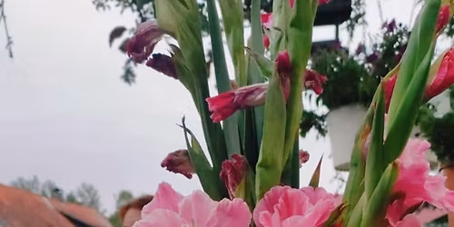 MIKO\u0141AJKOWY KR\u0104G MOCY - DAWANIE Z SERCA