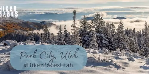 Silver Spur and More