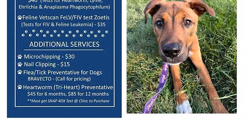 Low Cost Pet Vaccine clinic