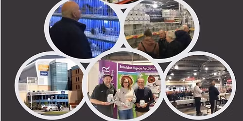 The Racing Pigeon Show