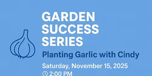 \ud83e\uddc4Planting Garlic \ud83e\uddc4