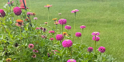 Central Arkansas Homestead Conference
