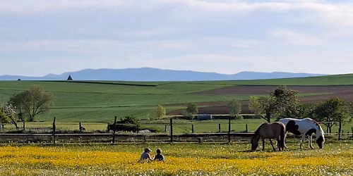 Visite immersive \u00e0 la mini-ferme refuge