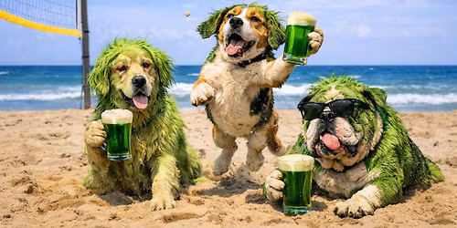 MVS - Hair of the Dawg aka Ladies Rule - Reverse Coed 3's