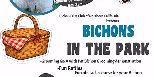 Bichons in the Park