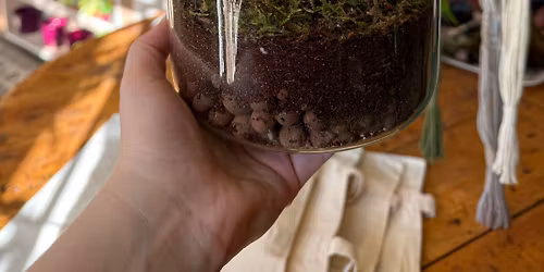 Corked Terrarium Workshop Wirksworth 18th April