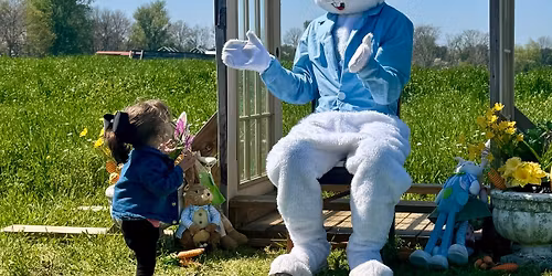 Bunny Palooza with Baby Animals & Fun Activities!