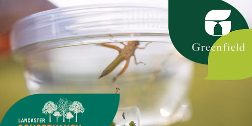 Insects Rule Presentation with Live Insect Demonstration