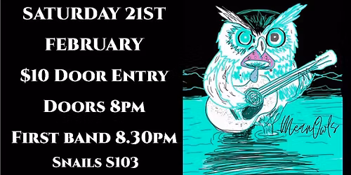 25 Years of Turbostill with Old man pine and The Meanowls