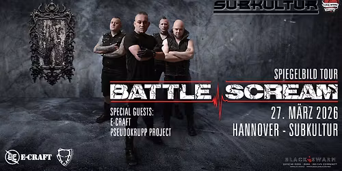 SPIEGELBILD TOUR - mit E-Craft & Pseudokrupp Project