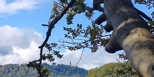 Ry, Bryggebjerg, Alling - ca. 13 km