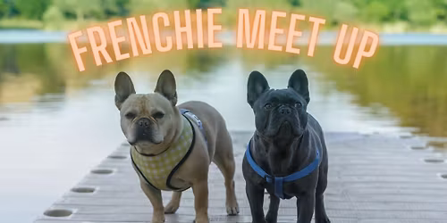 Frenchie Meet Up