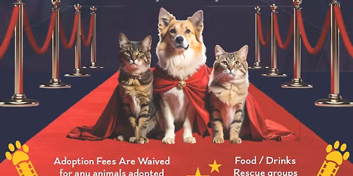 LIGHTS, CAMERA, ADOPTION EVENT!