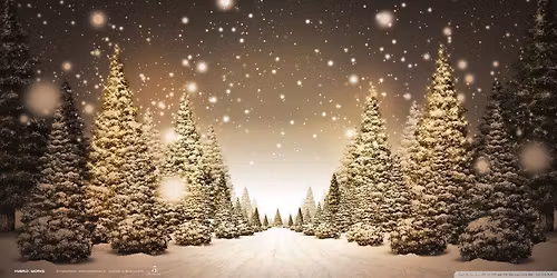 Traditional Christmas Market 2025