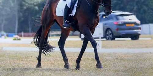 Friendly no plait dressage competition