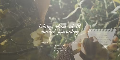 Hike, Plant ID & Nature Journaling (by donation)