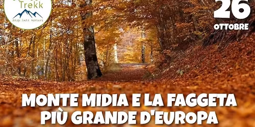 Monte Midia - La faggeta piu grande d'Europa