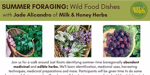 Summer Foraging: Wild Food Dishes Workshop